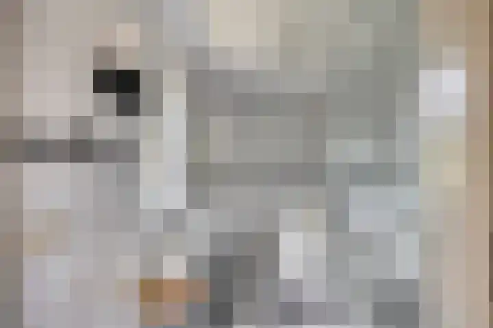 Gruun 14 Appelscha thumbnail 22