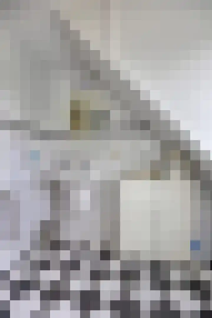 Gruun 14 Appelscha thumbnail 32