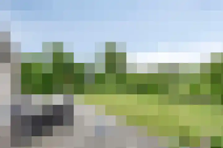 Gruun 14 Appelscha thumbnail 34