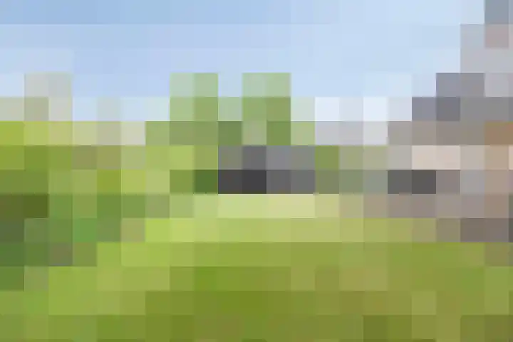 Gruun 14 Appelscha thumbnail 37