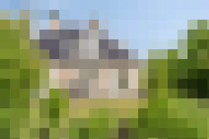 Gruun 14 Appelscha thumbnail 40