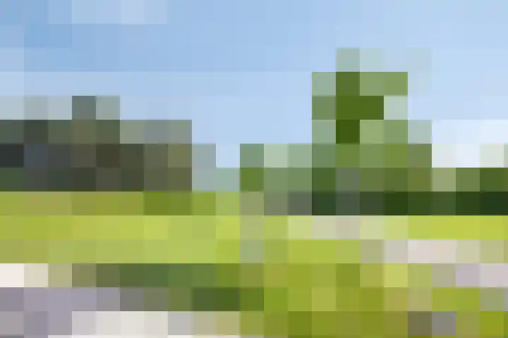 Gruun 14 Appelscha thumbnail 41