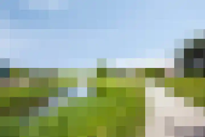 Gruun 14 Appelscha thumbnail 42