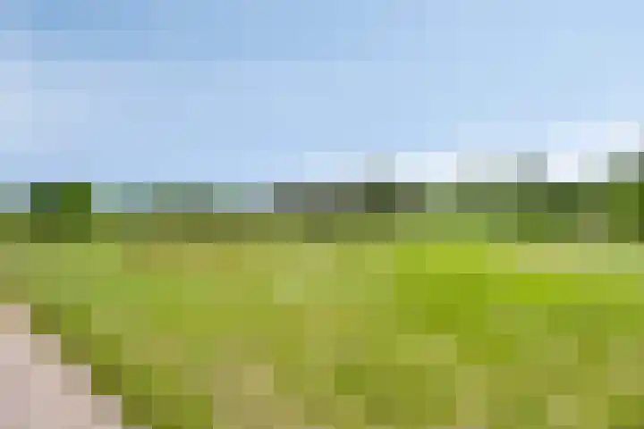 Gruun 14 Appelscha thumbnail 6