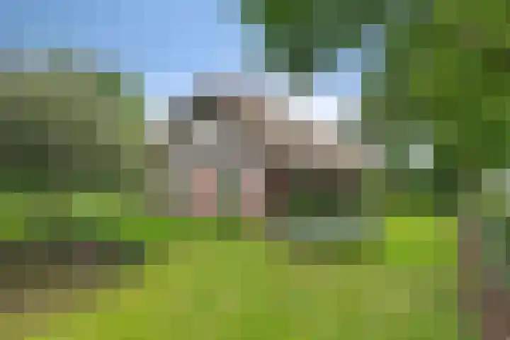 Gruun 7 Appelscha