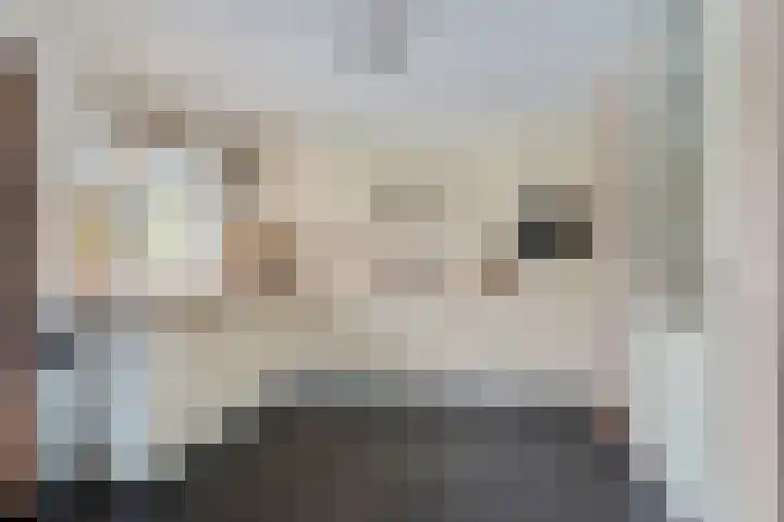 Gruun 7 Appelscha thumbnail 11