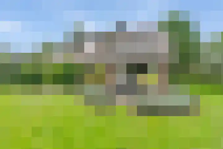 Gruun 7 Appelscha foto 2