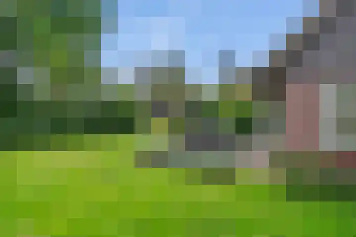 Gruun 7 Appelscha thumbnail 34