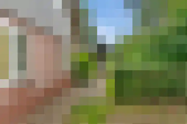 Gruun 7 Appelscha thumbnail 38