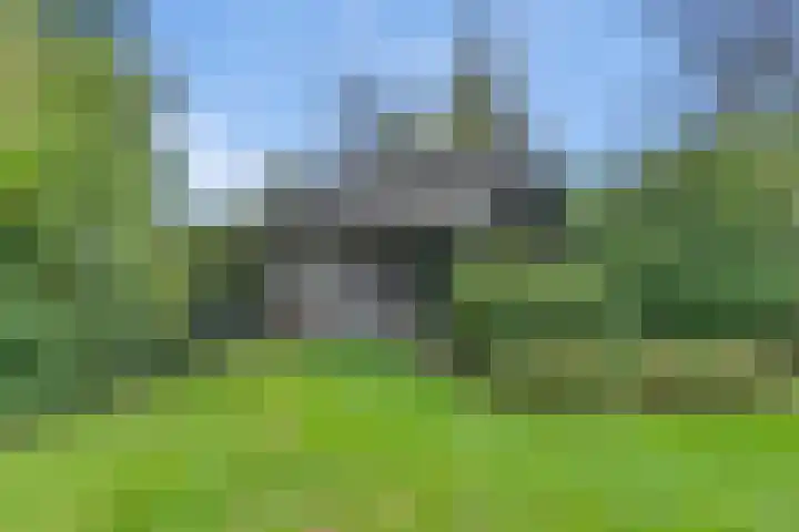 Gruun 7 Appelscha thumbnail 39