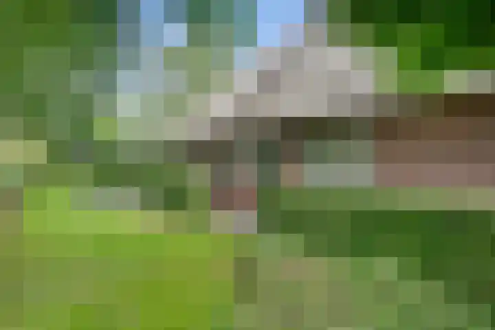 Gruun 7 Appelscha thumbnail 40