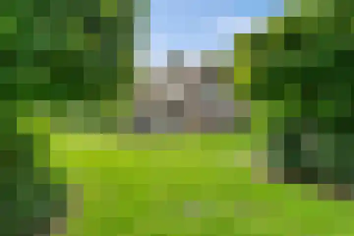 Gruun 7 Appelscha thumbnail 41
