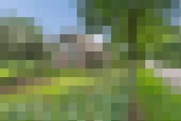 Gruun 7 Appelscha thumbnail 42