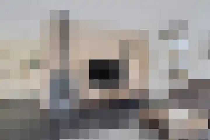 Gruun 7 Appelscha thumbnail 8