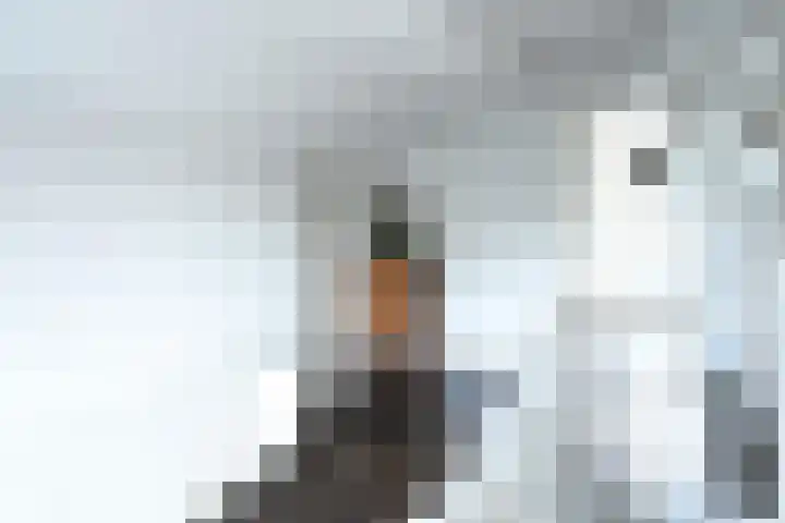 Gulden Eind 1 Grathem thumbnail 30