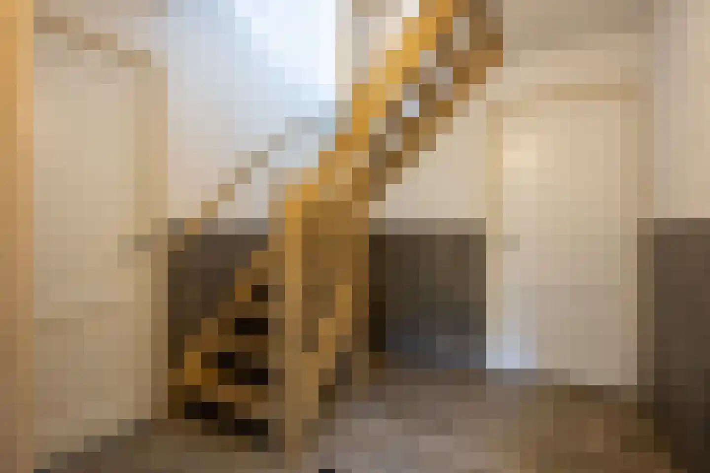 Guldenberg 3 Helvoirt thumbnail 13