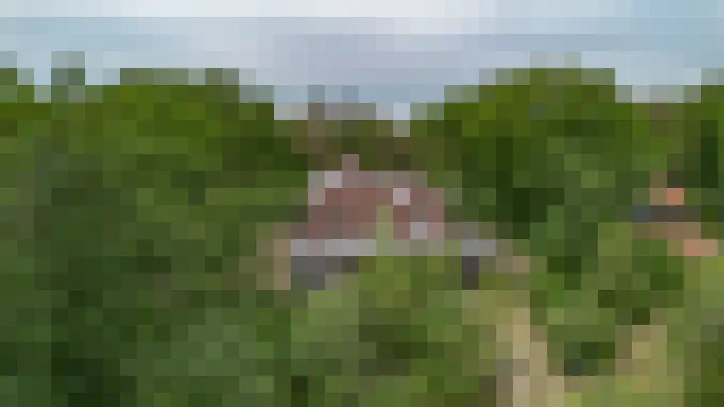 Guldenberg 3 Helvoirt thumbnail 30