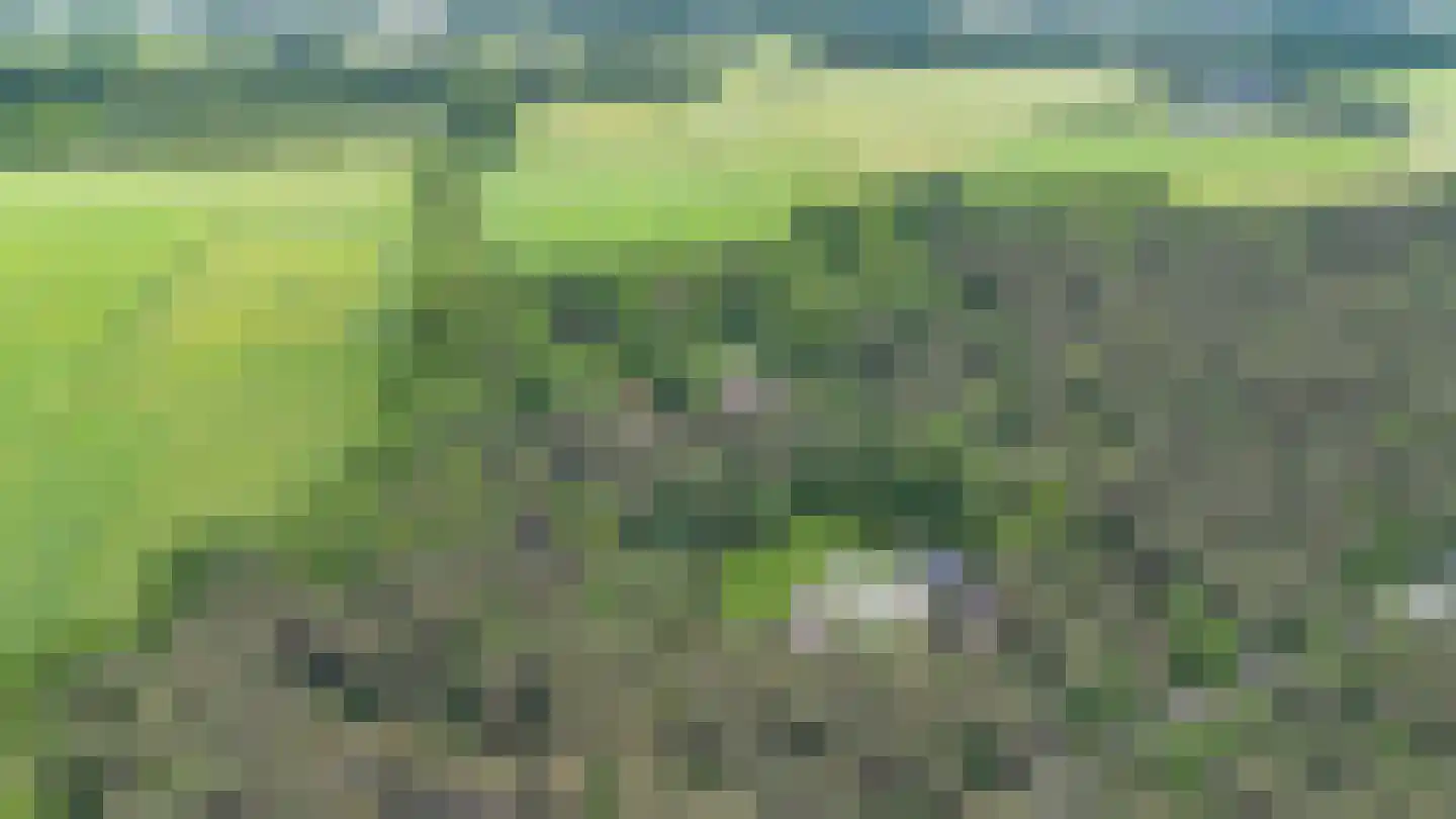 Guldenberg 3 Helvoirt thumbnail 31