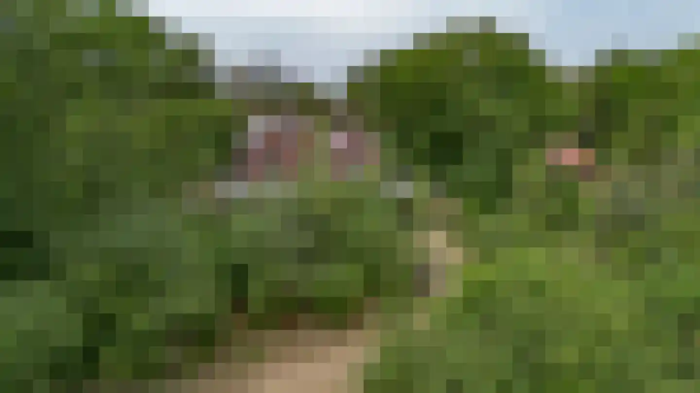 Guldenberg 3 Helvoirt thumbnail 32