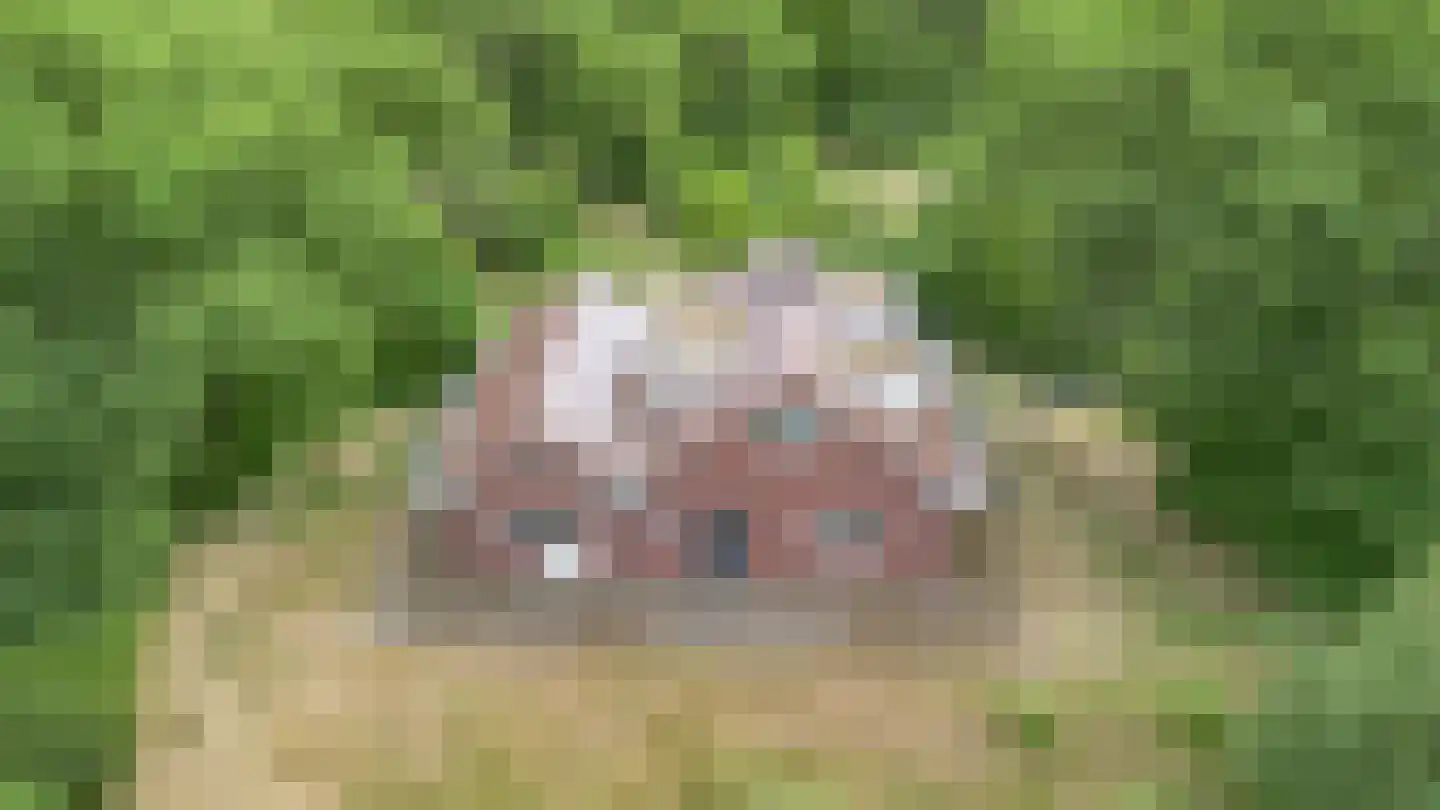 Guldenberg 3 Helvoirt thumbnail 36