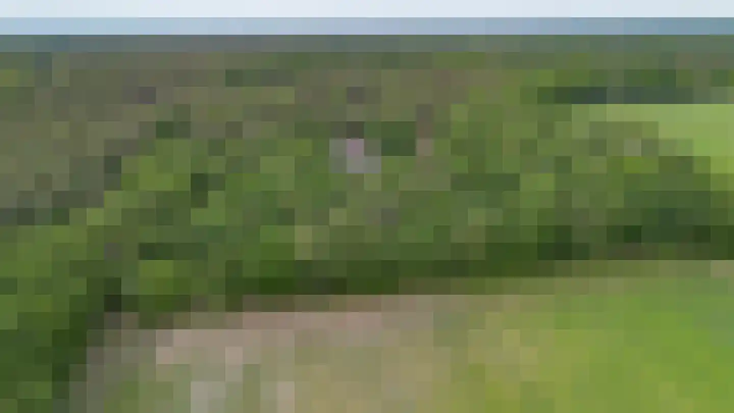 Guldenberg 3 Helvoirt thumbnail 4