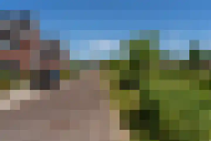 Gulderling 20 Andel thumbnail 23