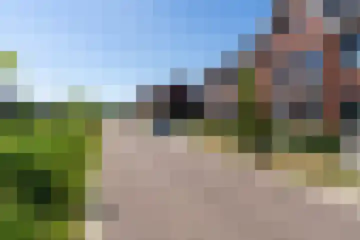 Gulderling 20 Andel thumbnail 24