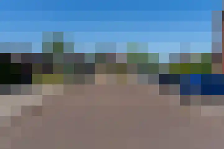 Gulderling 20 Andel thumbnail 25
