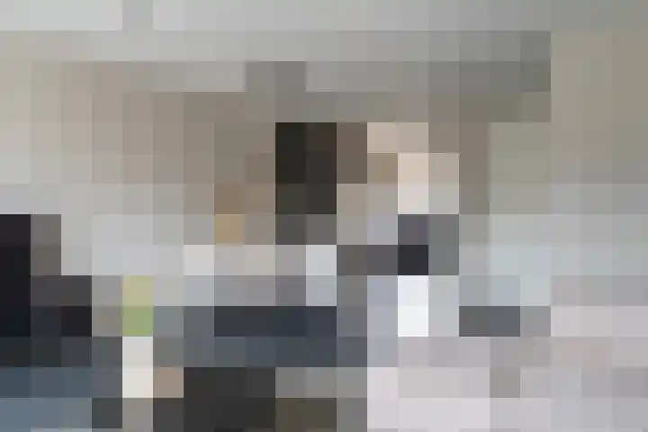 Gulderling 5 Andel thumbnail 10
