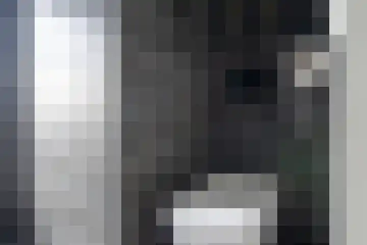 Gulderling 5 Andel thumbnail 23