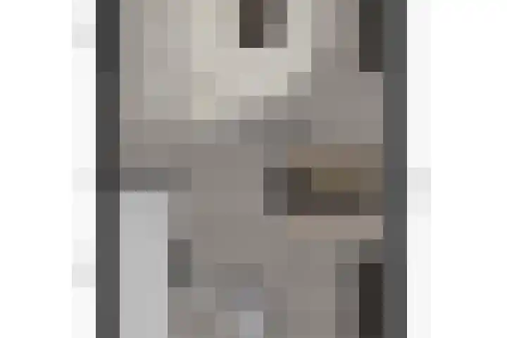 Gulderling 5 Andel thumbnail 31