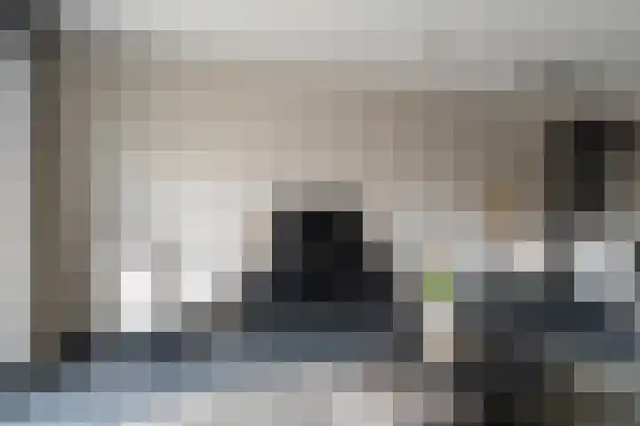 Gulderling 5 Andel thumbnail 8