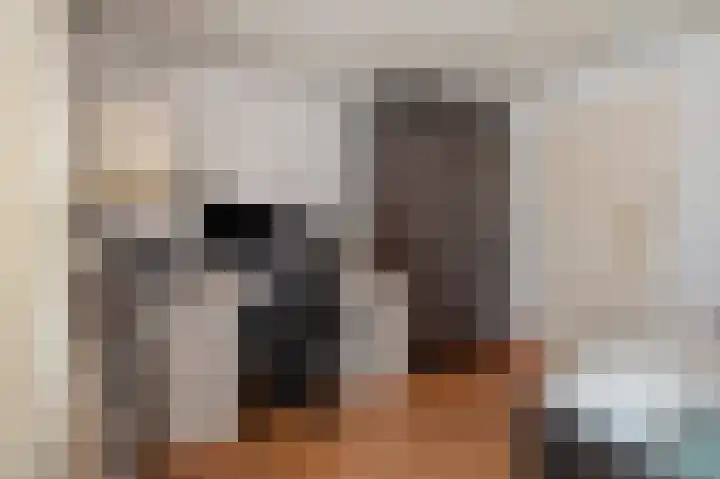Gulicksestraat 8 Sittard thumbnail 26