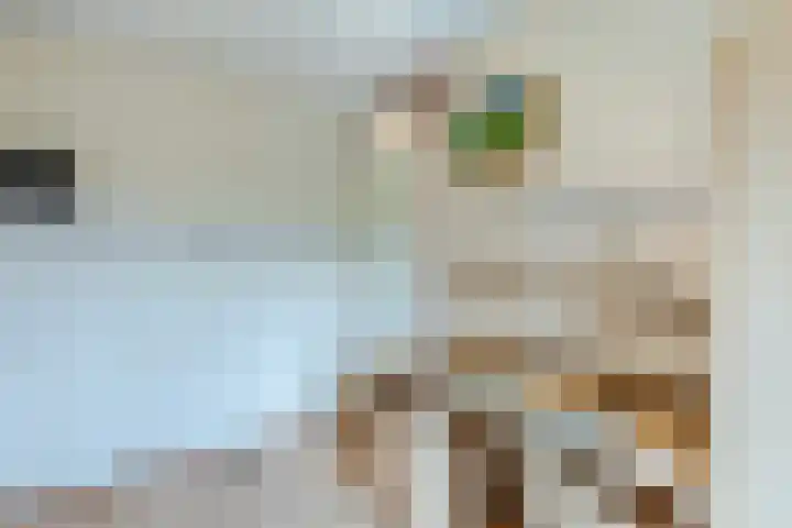 Gulickspark 8 Susteren thumbnail 23