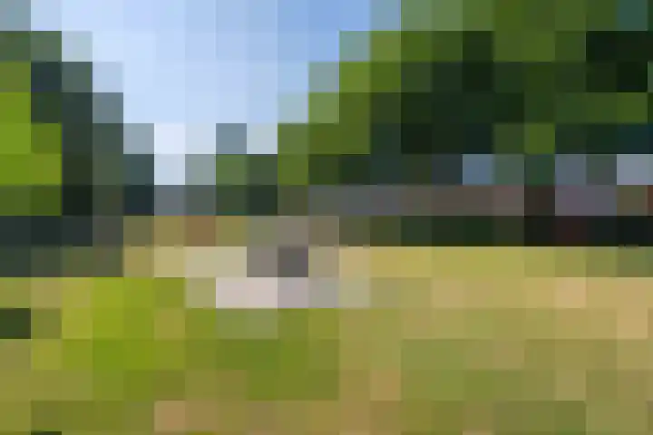 Gulikstraat 31 Weert thumbnail 35