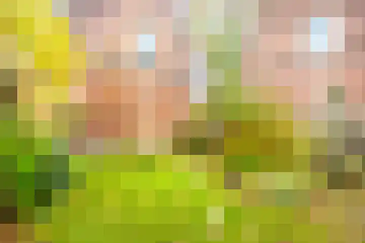 Logo Guus Brüggemann Makelaardij