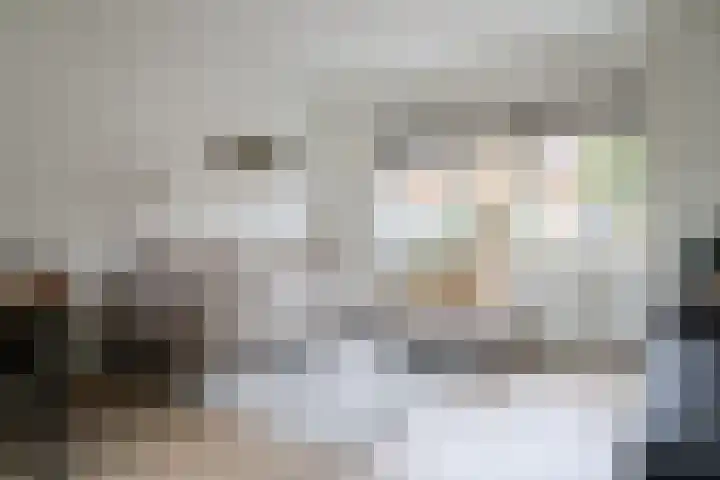 Gysbert Japiksstraat 40 Sneek thumbnail 8