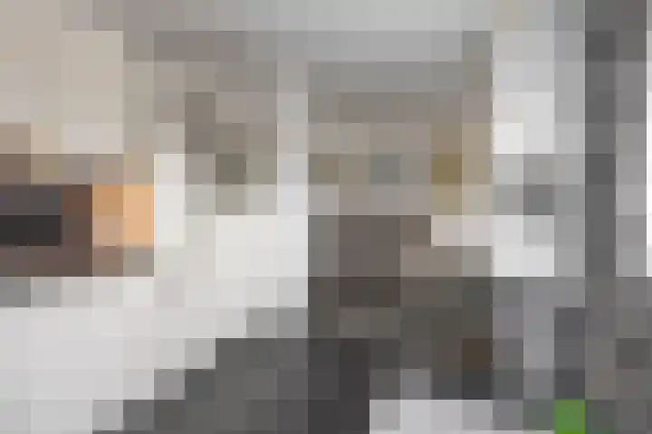 H. Ridderstraat 29 Groningen thumbnail 28