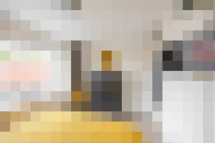 H. Ridderstraat 29 Groningen thumbnail 37
