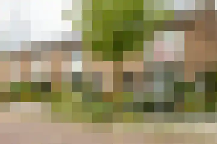 H. Ridderstraat 29 Groningen thumbnail 7