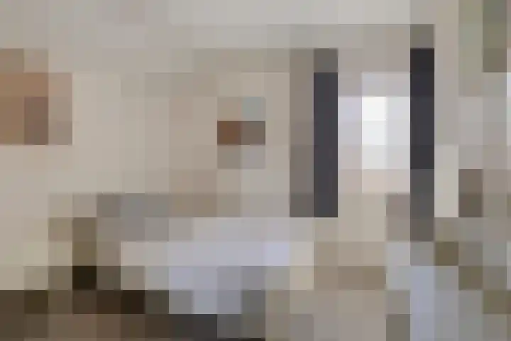 Team foto van H&S Makelaardij