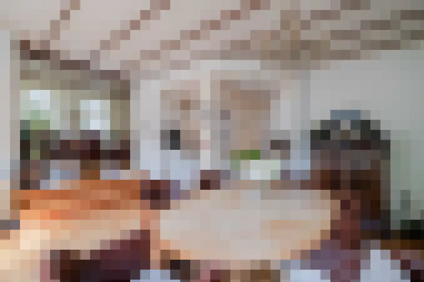 Haadstrjitte 2 Feanwâlden thumbnail 16