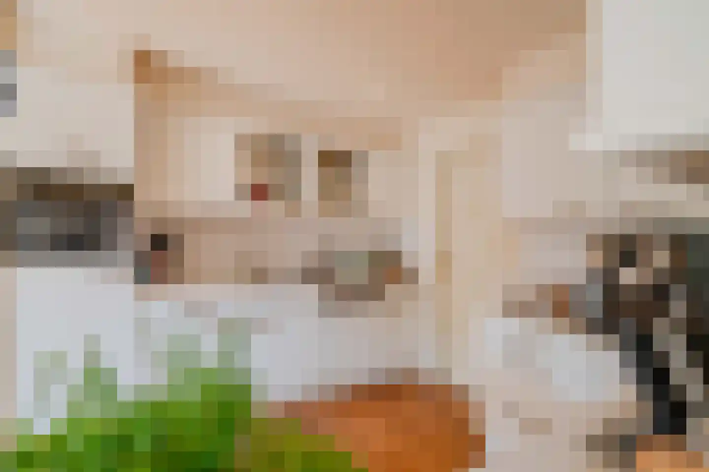 Haadstrjitte 2 Feanwâlden thumbnail 17