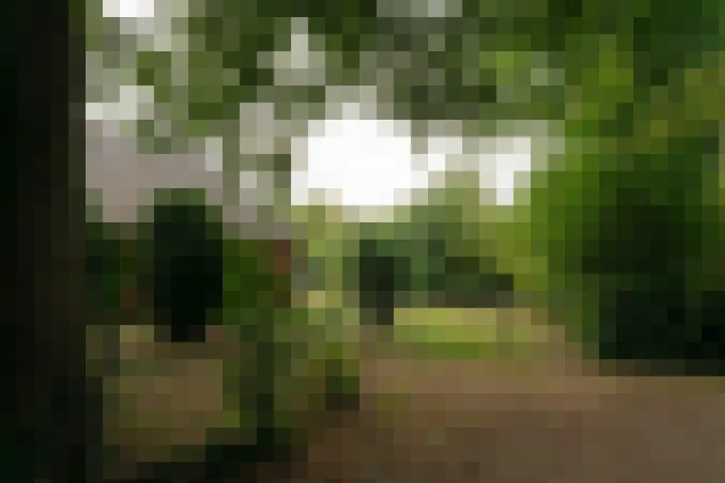 Haadstrjitte 2 Feanwâlden thumbnail 31