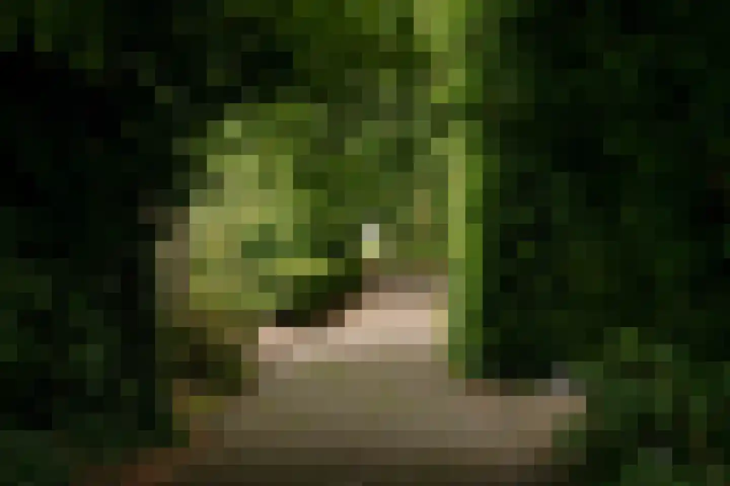 Haadstrjitte 2 Feanwâlden thumbnail 35
