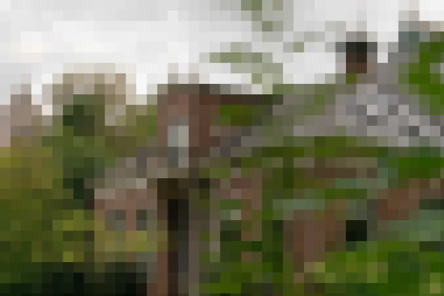 Haadstrjitte 2 Feanwâlden thumbnail 38