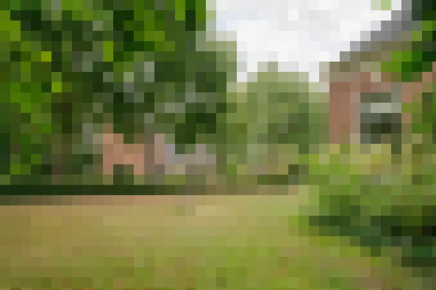 Haadstrjitte 2 Feanwâlden thumbnail 39