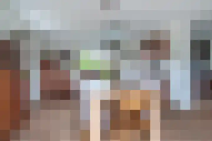 Haadwei 2 Damwâld thumbnail 12
