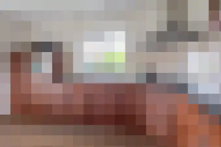 Haadwei 2 Damwâld thumbnail 19