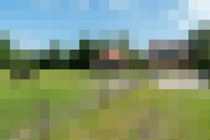 Haadwei 2 Damwâld foto 2